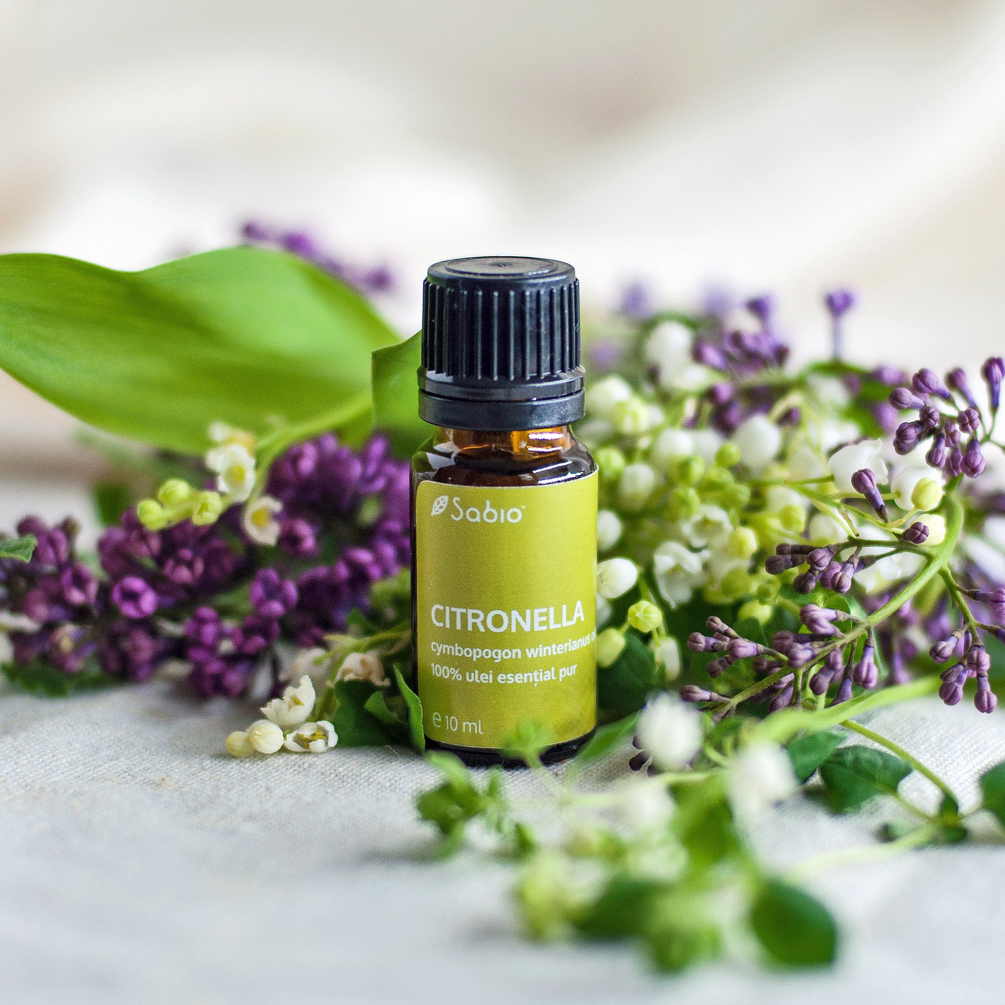 Citronella essential oil