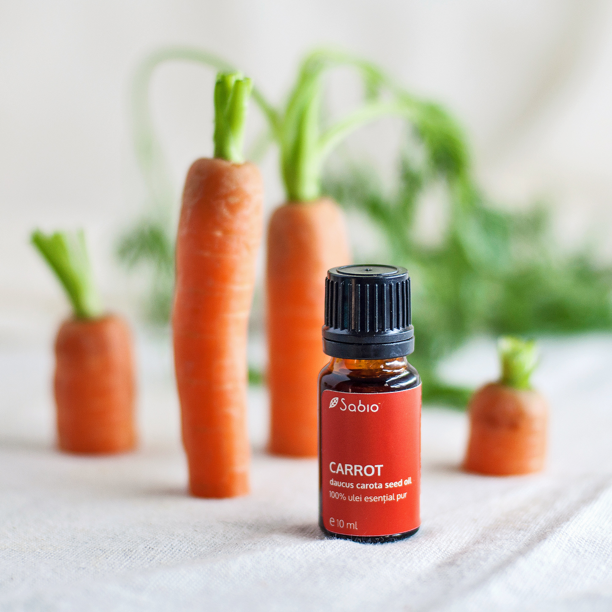 Carrot essential oil