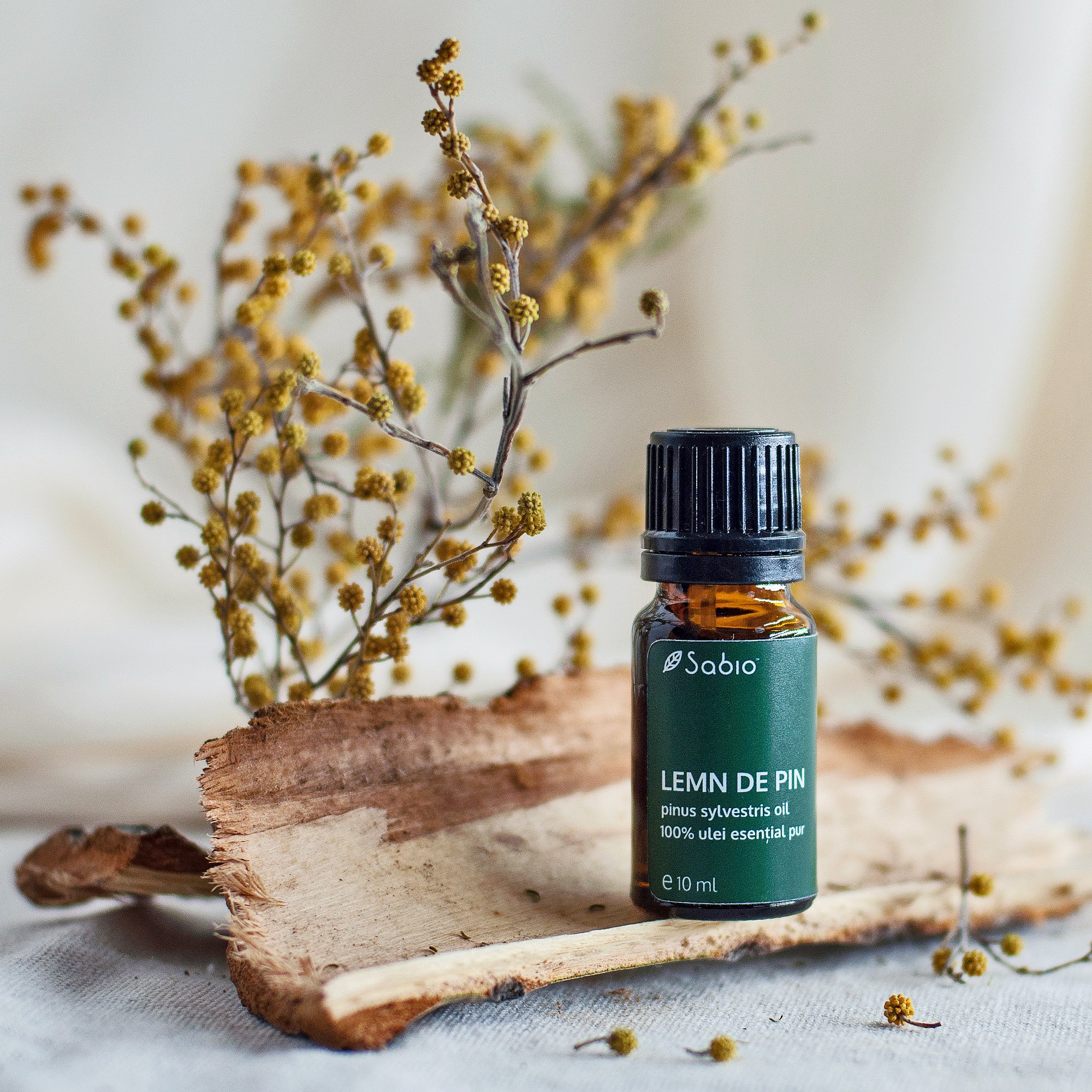 Pine essential Oil