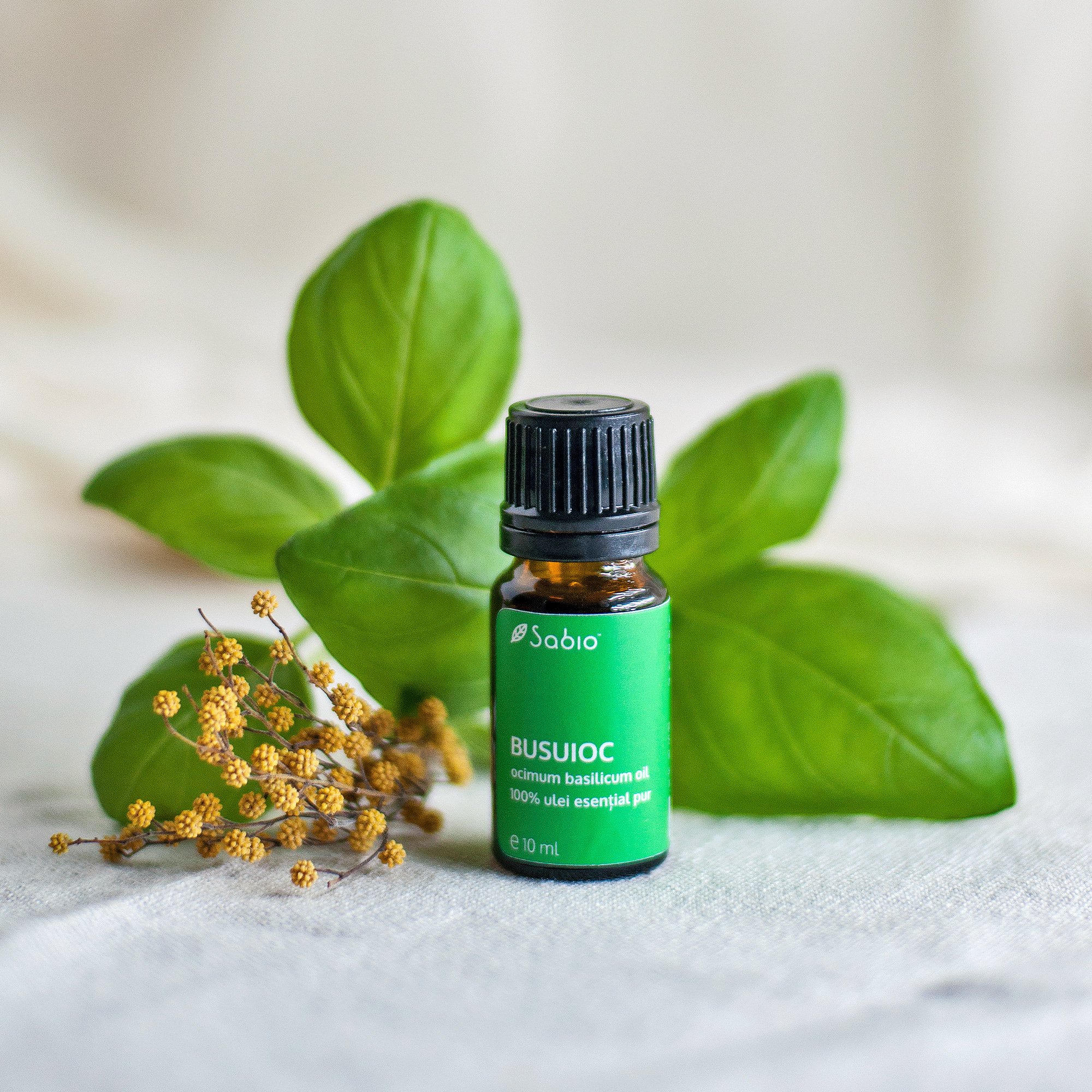 Basil essential oil