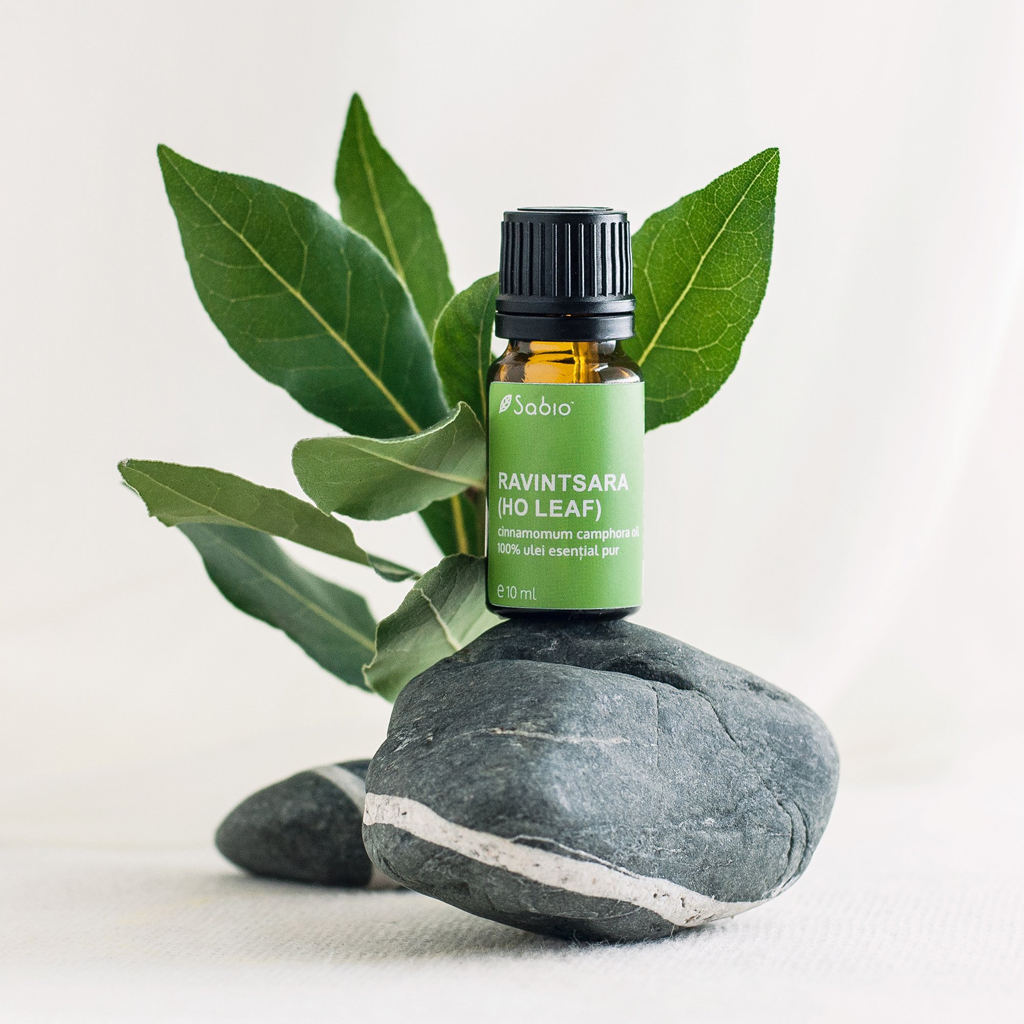 Ravintsara essential oil (Ho Leaf)